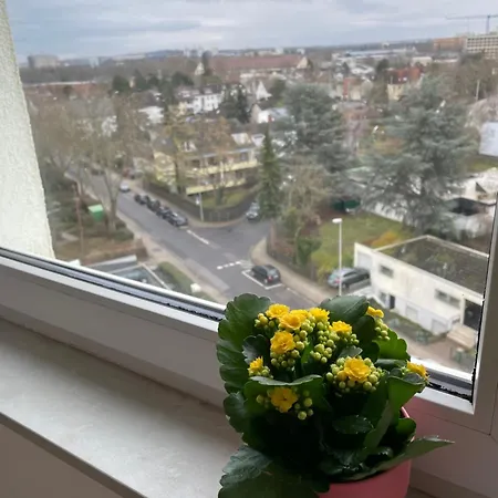 Wohnen Auf Zeit In Mainz, Grosse, Helle Wohnung, Uni Nah Lägenhet