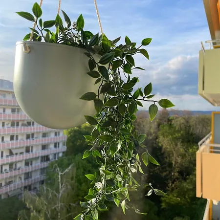 Wohnen Auf Zeit In Mainz, Grosse, Helle Wohnung, Uni Nah *