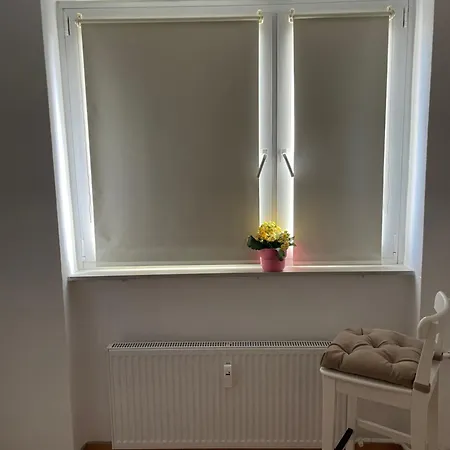 公寓 Wohnen Auf Zeit In Mainz, Grosse, Helle Wohnung, Uni Nah *