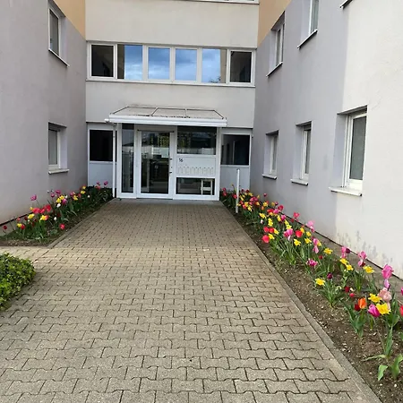 Wohnen Auf Zeit In Mainz, Grosse, Helle Wohnung, Uni Nah