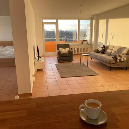 Wohnen Auf Zeit In Mainz, Grosse, Helle Wohnung, Uni Nah Appartement