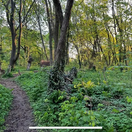 Wohnen Auf Zeit In Mainz, Grosse, Helle Wohnung, Uni Nah *