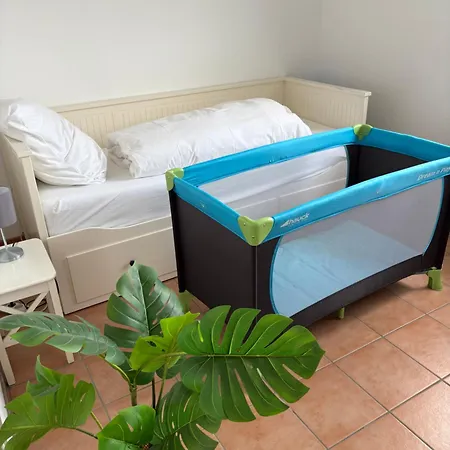 Wohnen Auf Zeit In Mainz, Grosse, Helle Wohnung, Uni Nah Appartement Mainz