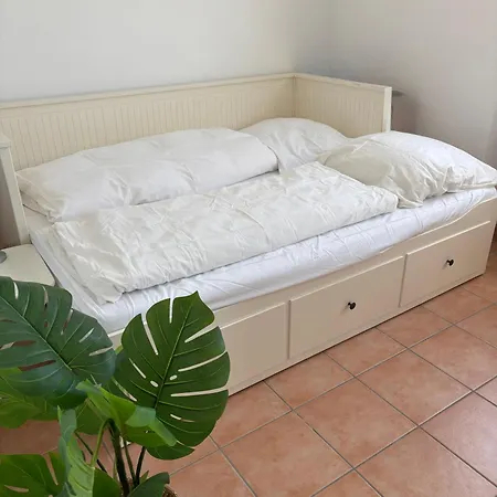 Wohnen Auf Zeit In Mainz, Grosse, Helle Wohnung, Uni Nah