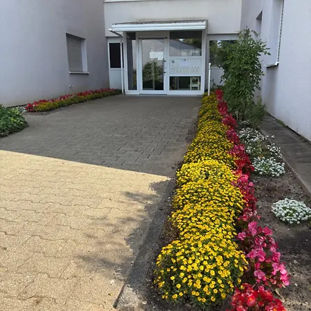 Wohnen Auf Zeit In Mainz, Grosse, Helle Wohnung, Uni Nah 公寓 *