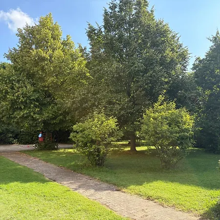 Appartement Wohnen Auf Zeit In Mainz, Grosse, Helle Wohnung, Uni Nah Mainz