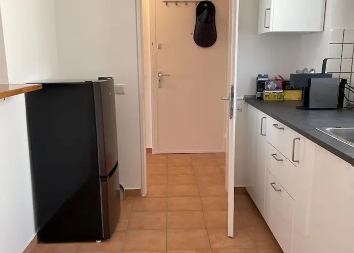 Apartment Wohnen Auf Zeit In Mainz, Grosse, Helle Wohnung, Uni Nah Mainz