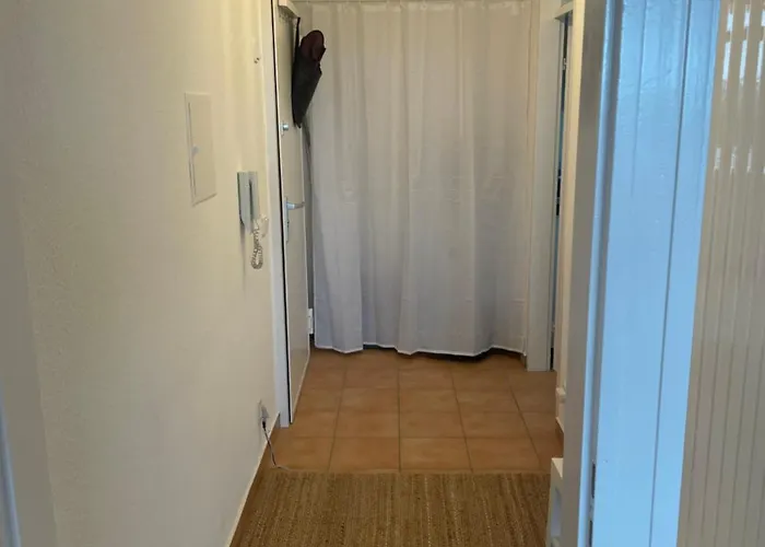 Wohnen Auf Zeit In Mainz, Grosse, Helle Wohnung, Uni Nah *