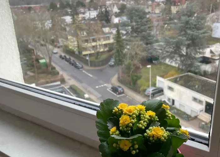 Wohnen Auf Zeit In Mainz, Grosse, Helle Wohnung, Uni Nah Apartment