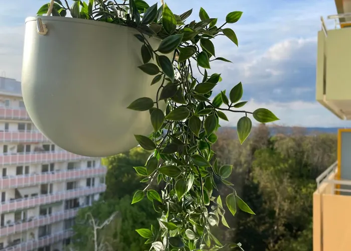 Wohnen Auf Zeit In Mainz, Grosse, Helle Wohnung, Uni Nah *