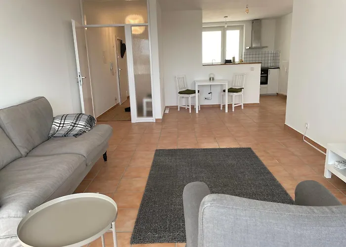 Wohnen Auf Zeit In Mainz, Grosse, Helle Wohnung, Uni Nah *