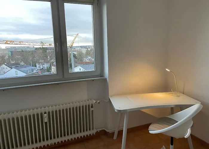 Wohnen Auf Zeit In Mainz, Grosse, Helle Wohnung, Uni Nah Mainz