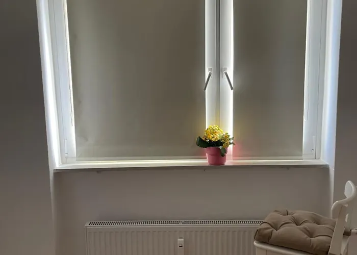 Apartment Wohnen Auf Zeit In Mainz, Grosse, Helle Wohnung, Uni Nah *