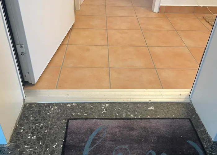 Wohnen Auf Zeit In Mainz, Grosse, Helle Wohnung, Uni Nah Apartment Mainz