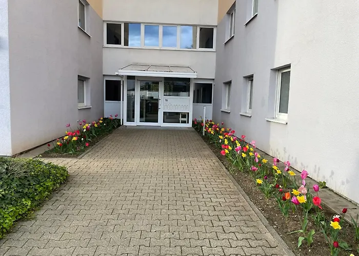 Wohnen Auf Zeit In Mainz, Grosse, Helle Wohnung, Uni Nah