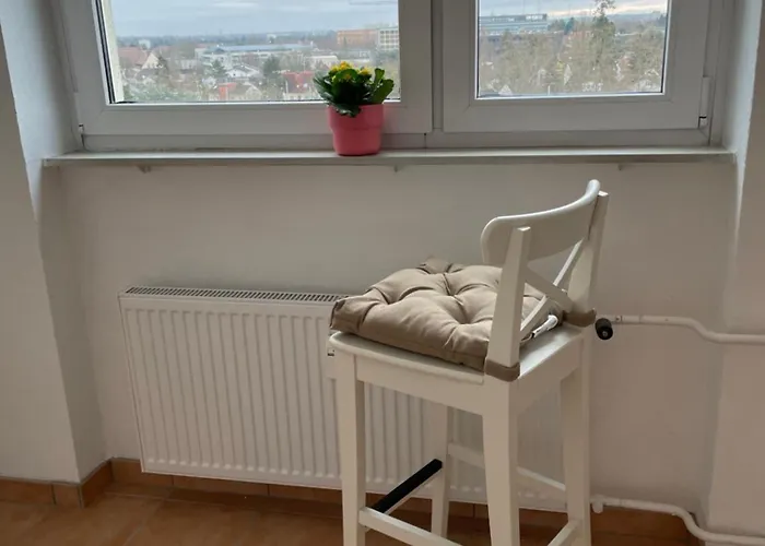 Wohnen Auf Zeit In Mainz, Grosse, Helle Wohnung, Uni Nah Apartment *