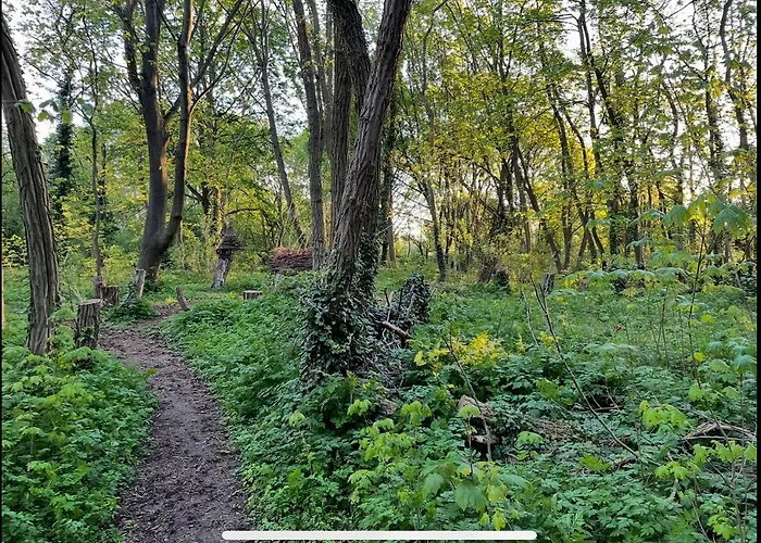 Wohnen Auf Zeit In Mainz, Grosse, Helle Wohnung, Uni Nah *