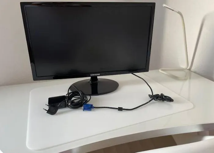 Wohnen Auf Zeit In Mainz, Grosse, Helle Wohnung, Uni Nah * Mainz