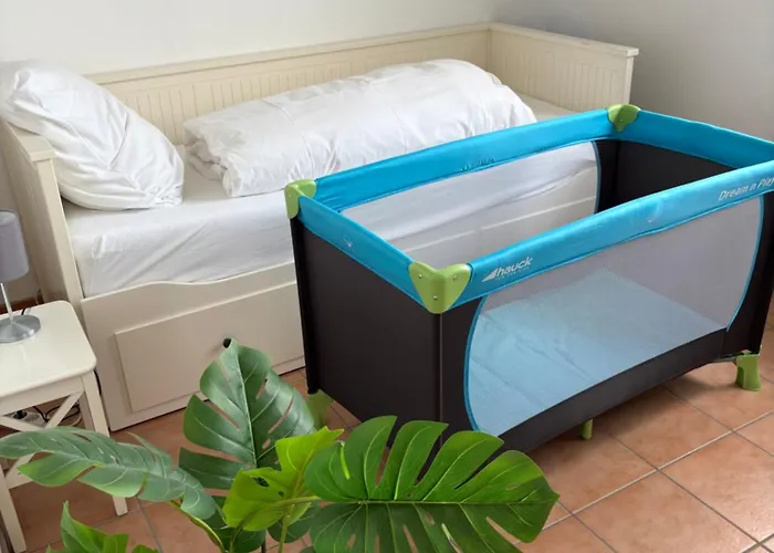 Wohnen Auf Zeit In Mainz, Grosse, Helle Wohnung, Uni Nah Apartment Mainz