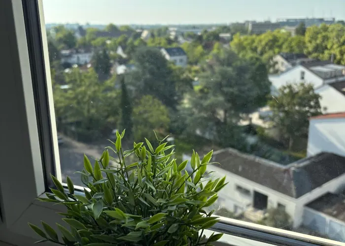 Wohnen Auf Zeit In Mainz, Grosse, Helle Wohnung, Uni Nah Apartment