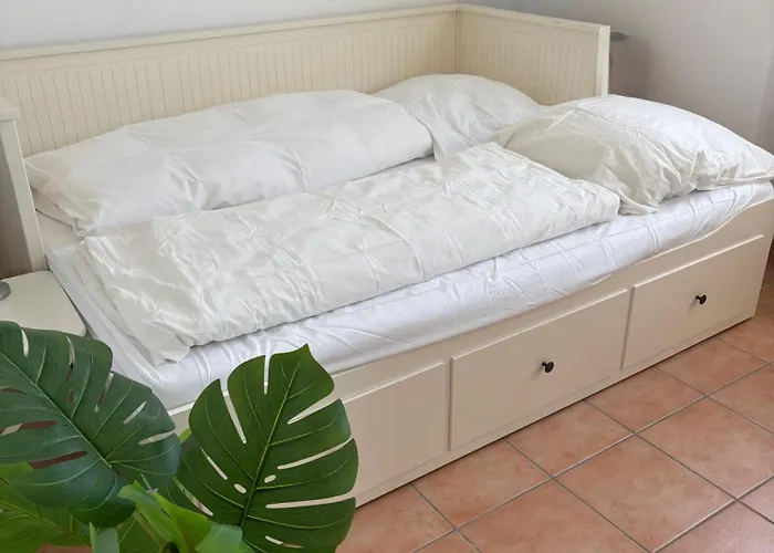 Wohnen Auf Zeit In Mainz, Grosse, Helle Wohnung, Uni Nah