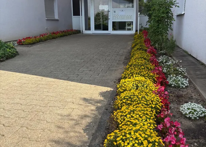 Wohnen Auf Zeit In Mainz, Grosse, Helle Wohnung, Uni Nah Apartment *