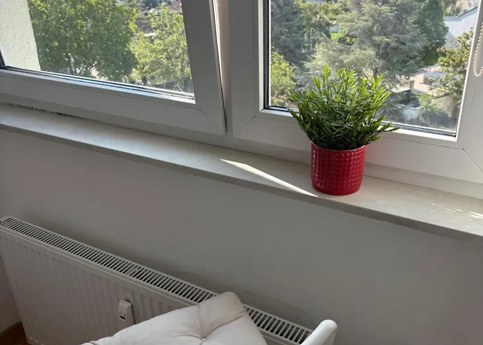 Wohnen Auf Zeit In Mainz, Grosse, Helle Wohnung, Uni Nah